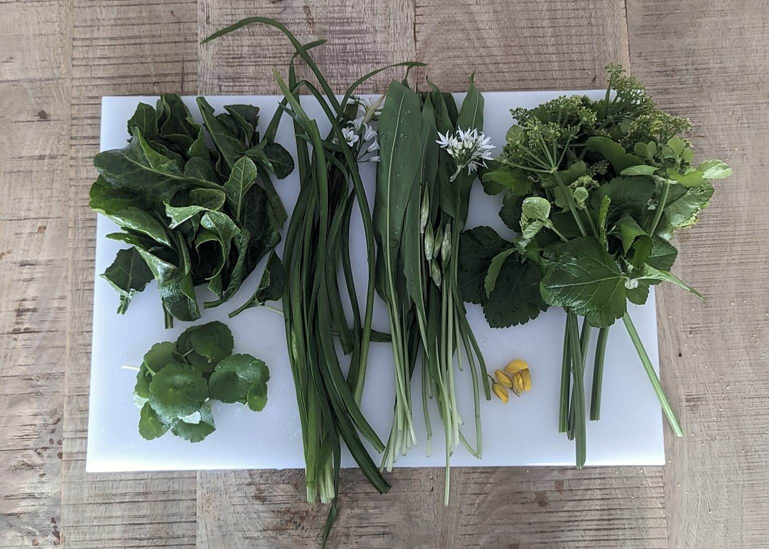 foraged greens, wild garlic, three-cornered leek and herbs arranged on a white board